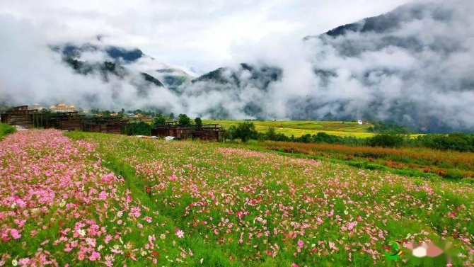 b6709cfc81f04bd2b2f3bf0b85296a1c