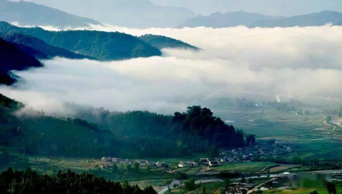 3617036683004564aa760da984ffde66