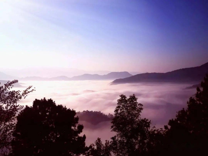 98d252e00a0c4ff49f2b6db0004ee77f