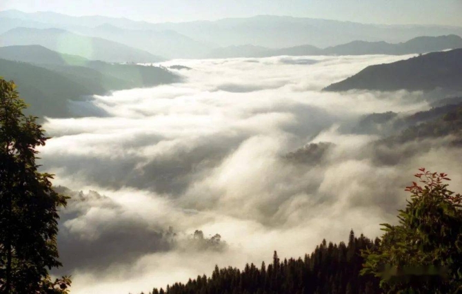 1d8e5940236d4fb39412ccea873a8be0