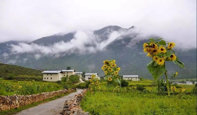 df1b1af5dd8843e9bb5d505b34c90fc6