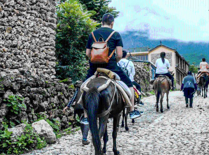 86c4d68167ef4e58b202330de3f6ce84