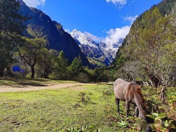 df029a6d2d5e47f99d5ccfa9894a015b