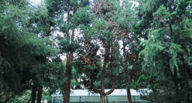 QQ截图20211124201839