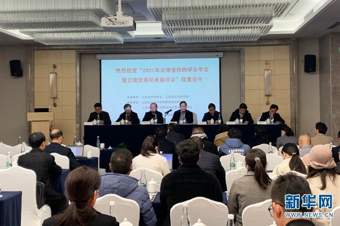 1310335029_16379250013631n 1310335029_16379250013631n