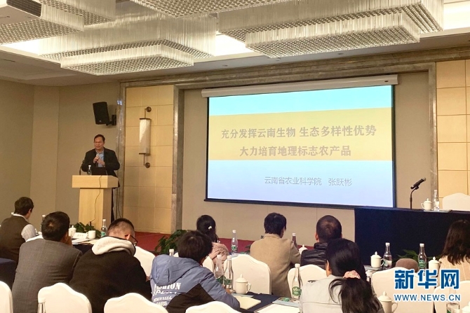 1310335029_16379250014041n 1310335029_16379250014041n