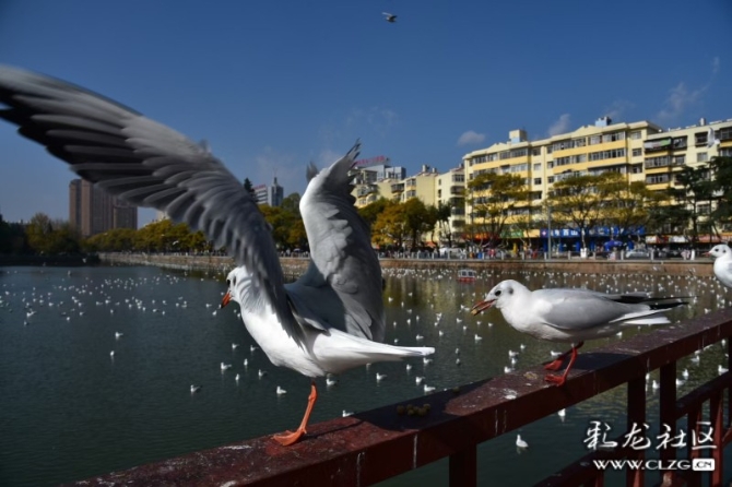 16372529288517186798350559703_181991