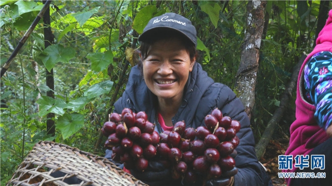 1310340522_16381801629671n