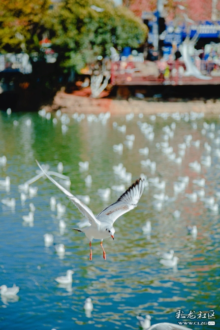 5uyssq2s1e5 5uyssq2s1e5