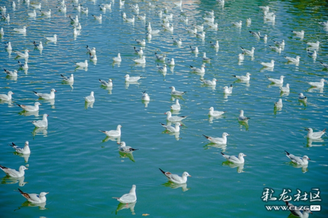 v007sks6mo v007sks6mo