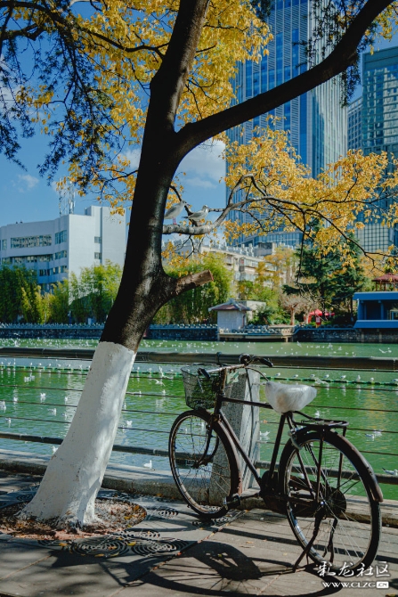 myaz5ipguam myaz5ipguam