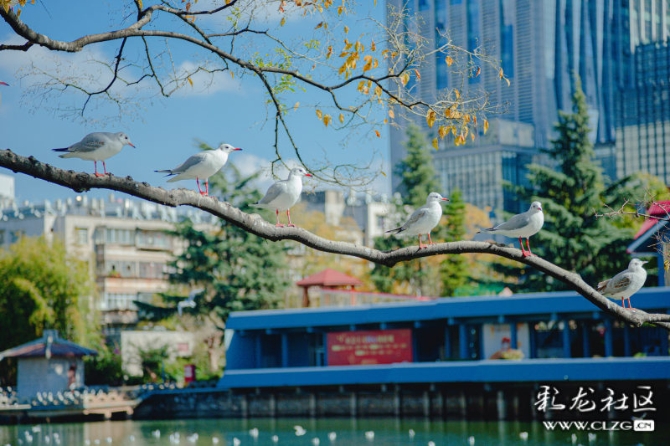 usdxu2lmmg usdxu2lmmg