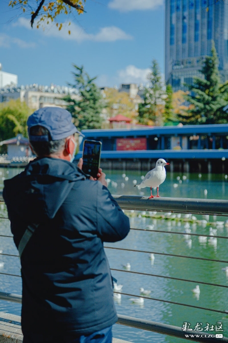 sjxlv047ixm sjxlv047ixm