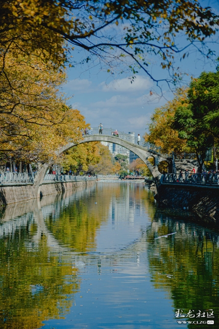 10x2x21wzgb 10x2x21wzgb