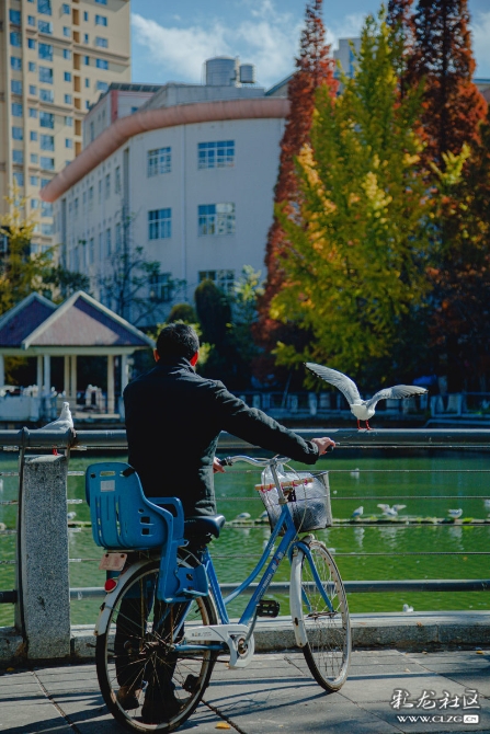 5c513gfh3uw 5c513gfh3uw