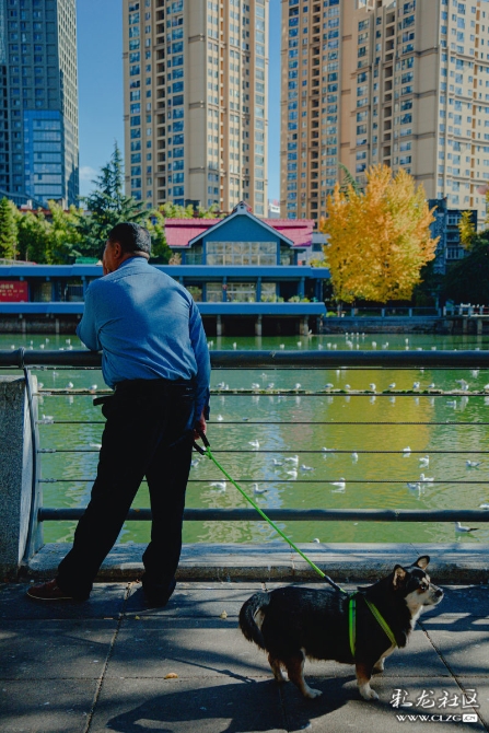 bqa6n6dbntr bqa6n6dbntr