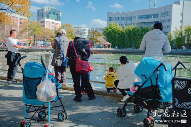 p9ehewwt87 p9ehewwt87