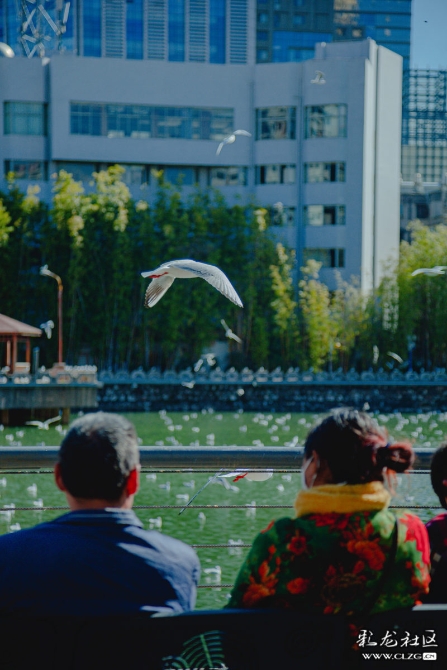 77jkak78zl3 77jkak78zl3