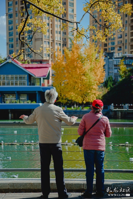 e1gw895dfb6 e1gw895dfb6