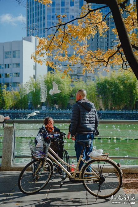 iffihryesbe iffihryesbe