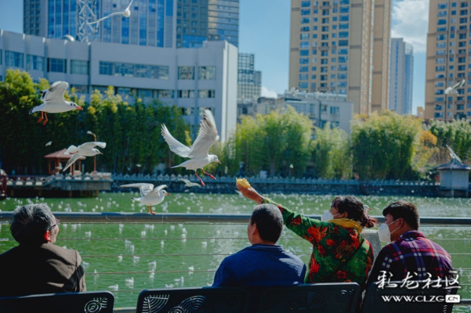 461434rk47g 461434rk47g