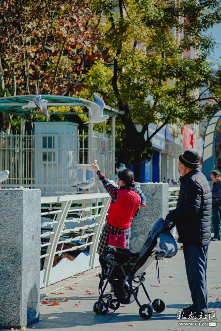 t1pepb68php t1pepb68php