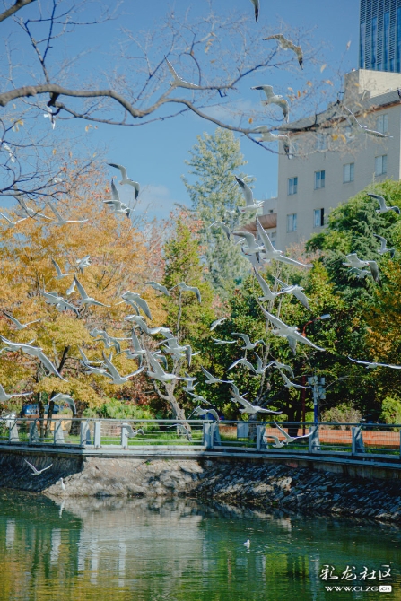 tld4ztx83n tld4ztx83n