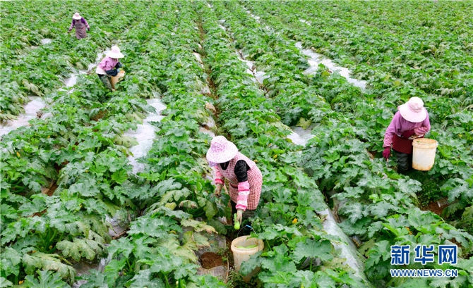 1310343226_16382690941241n 1310343226_16382690941241n