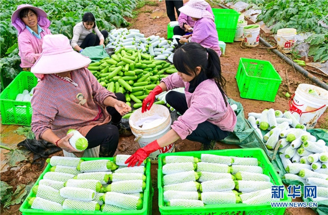 1310343226_16382690945561n 1310343226_16382690945561n