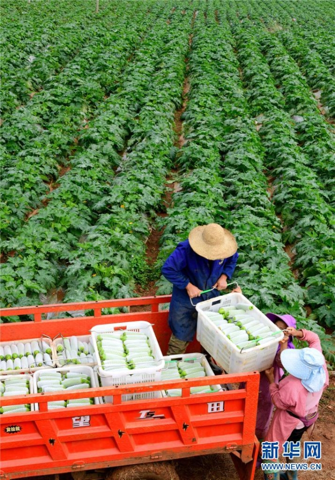 1310343226_16382690949251n 1310343226_16382690949251n