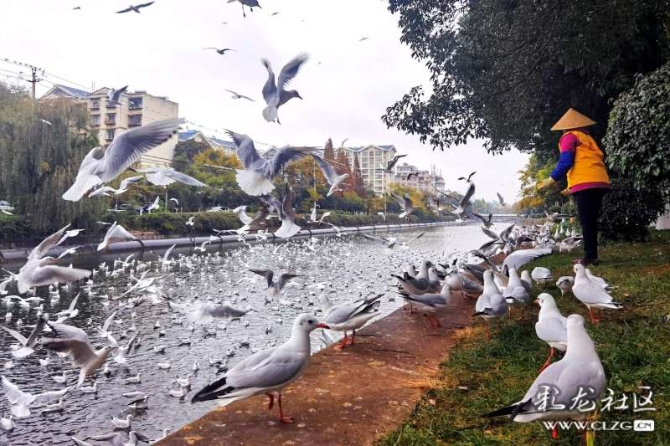 16382179267189827530937901372_5434