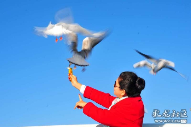 16382179268630747966050046326_5434