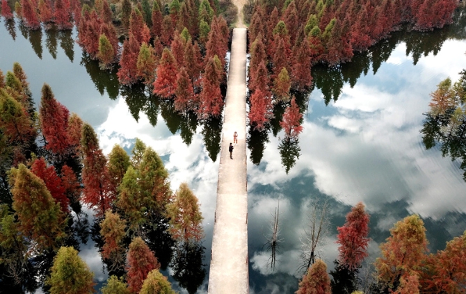 DJI_0458-_副本 DJI_0458-_副本