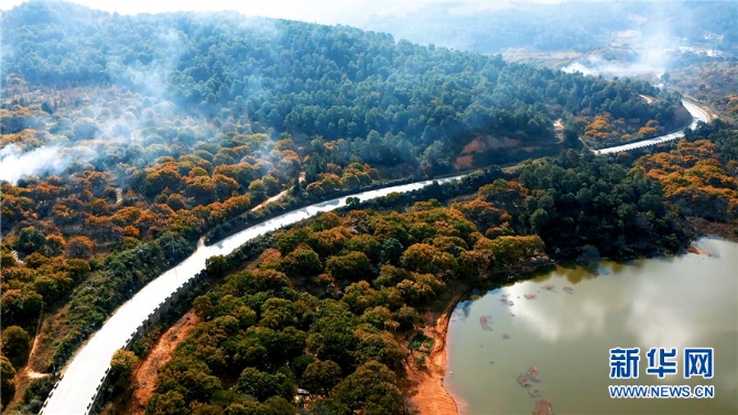 1310344331_16384062690801n