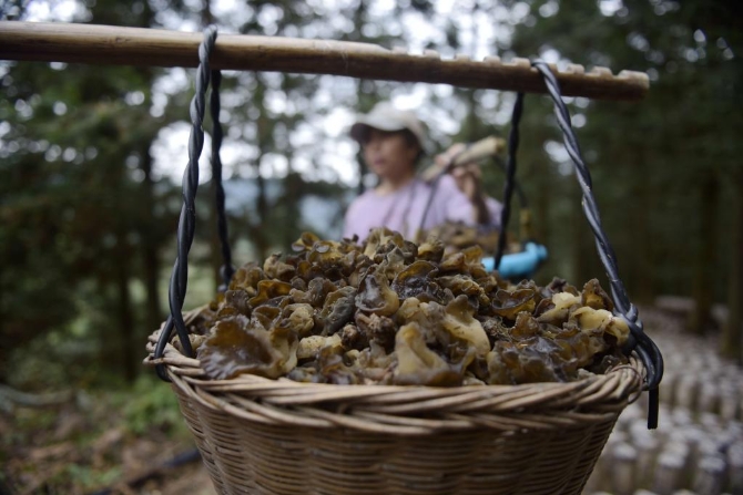 1128125665_16384573863651n