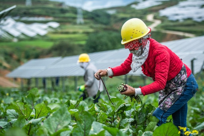 1128125665_16384573863631n