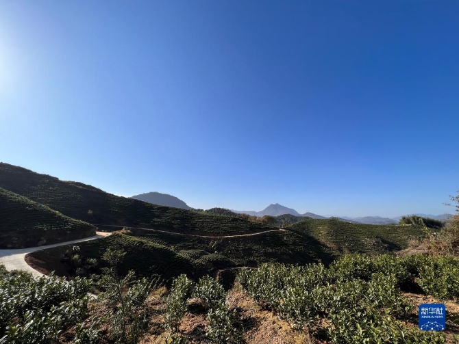 1310349668_16385754915091n