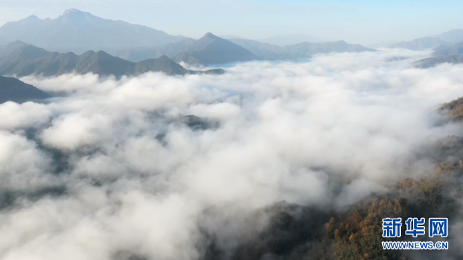 1128132381_16386697918281n