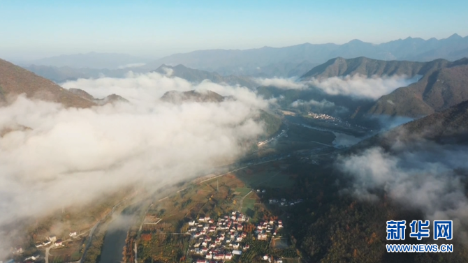 1128132381_16386697921821n