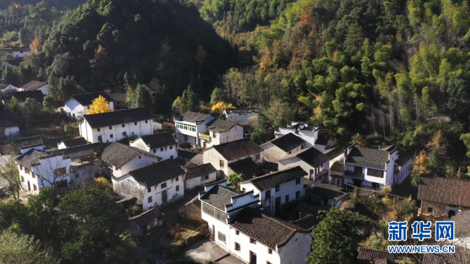 1128132381_16386697924971n