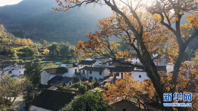 1128132381_16386697927011n