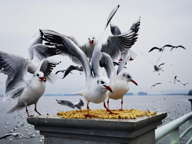 202112061519351KUFBP