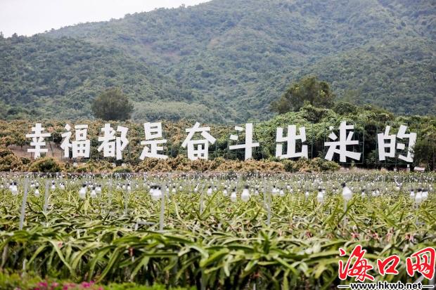 f2dc66d4-abfc-4d91-a444-fff53d104f49_zsize_watermark