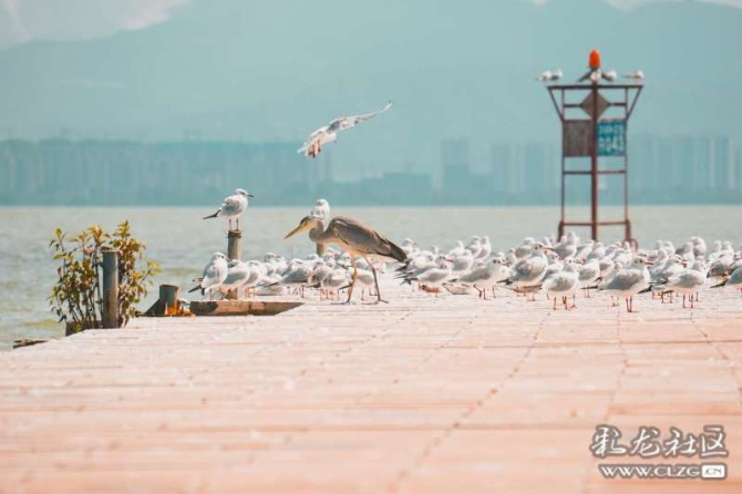 16386328986654812357930434396_6345