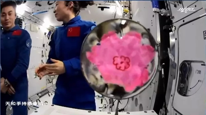 2.webp (1) 2.webp (1)