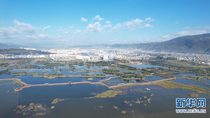 1310366385_16392331872881n