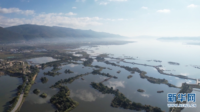 1310366385_16392331873411n