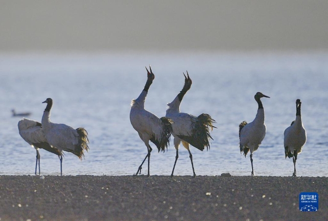 f44d30758ab0231bfbfa49