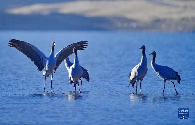 f44d30758ab0231bf39213