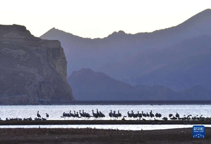 f44d30758ab0231bfbfa4a